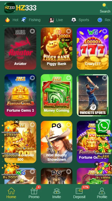 HZ333 Game
