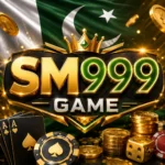 sm999 game